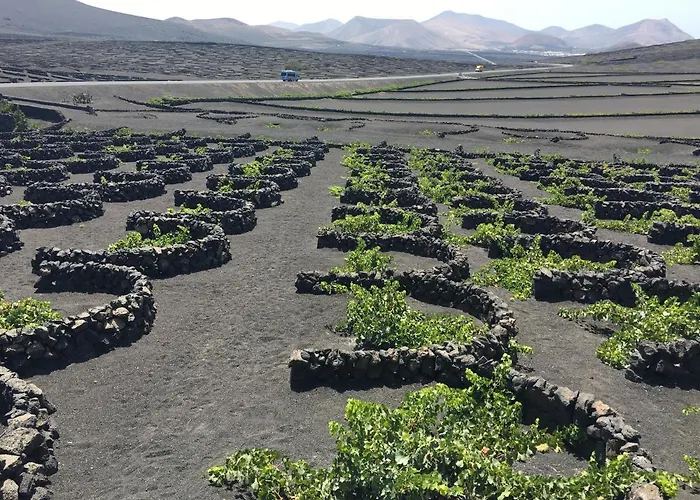 Linda Con Piscina Privada Βίλα